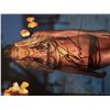 Image 1 : Denise Richards signed photo