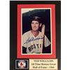 Image 1 : Ted Williams signed photo