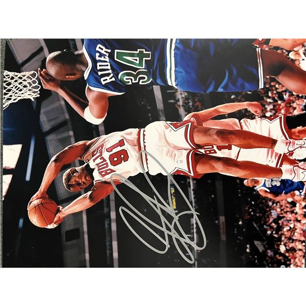 Chicago Bulls Dennis Rodman signed photo
