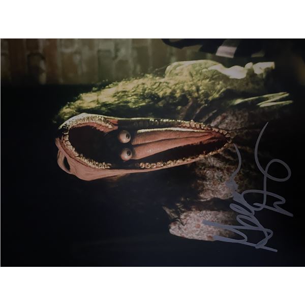 Beetlejuice Geena Davis signed movie photo