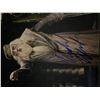 Image 1 : Harry Potter Michael Gambon signed movie photo