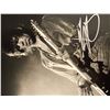 Image 1 : Rolling Stones Keith Richards signed photo