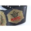 Image 2 : Welterweight NXFC Champion Belt