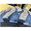 Image 23 : 2015 CATERPILLAR 236D 2-SPEED SKID STEER LOADER