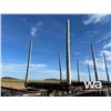Image 13 : 2006 ARCTIC HR31TR 53 FT. TRIDEM LOG TRAILER