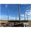 Image 14 : 2006 ARCTIC HR31TR 53 FT. TRIDEM LOG TRAILER