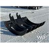 Image 2 : SAI 66 IN. EXCAVATOR 250 SERIES BRUSH RAKE
