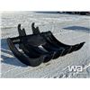 Image 2 : SAI 66 IN. EXCAVATOR 250 SERIES BRUSH RAKE