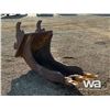 Image 2 : WELDCO BEALES 250 SERIES EXCAVATOR BUCKET