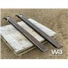 Image 2 : 72 IN. FORK EXTENTIONS
