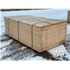 Image 1 : (50) 5/8 IN. 4 X 8 FT. CSP/DFP NO STAMP PLYWOOD