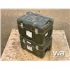 Image 3 : (2) SMALL TRANSPORT CASES