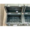 Image 7 : (2) SMALL TRANSPORT CASES