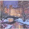 Image 1 : Central Park Bridge by Richard Zu Ming Ho