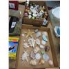 Image 1 : Seashells, Shakers Collection