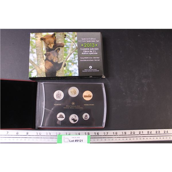 Royal Canadian 2013 Mint Black Bear Coin Collection w/ Booklet Case