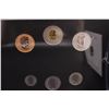 Image 3 : Royal Canadian 2013 Mint Black Bear Coin Collection w/ Booklet Case