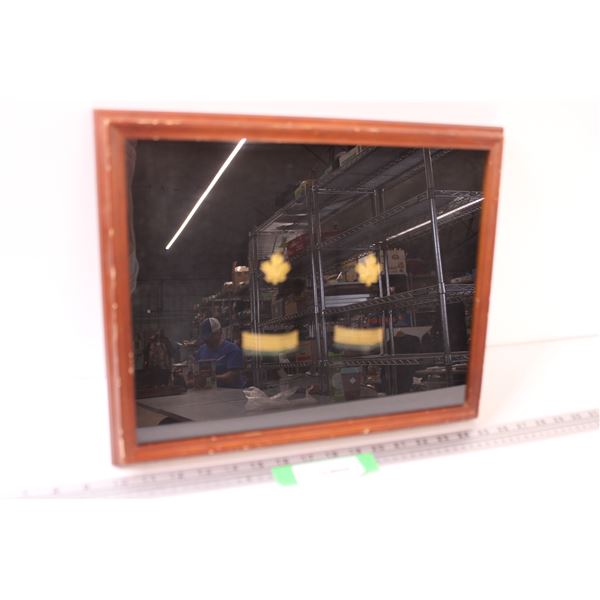 Epaulettes in Frame - 14.5" x 12.5"