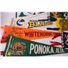 Image 3 : (8) Pennants: Ponoka AB, Medicine Hat AB, Fort Steele BC, Gardiner Dam SK, Prince Rupert BC, Huskie 