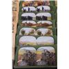 Image 3 : (22) Antique Stereoscope Picture Cards