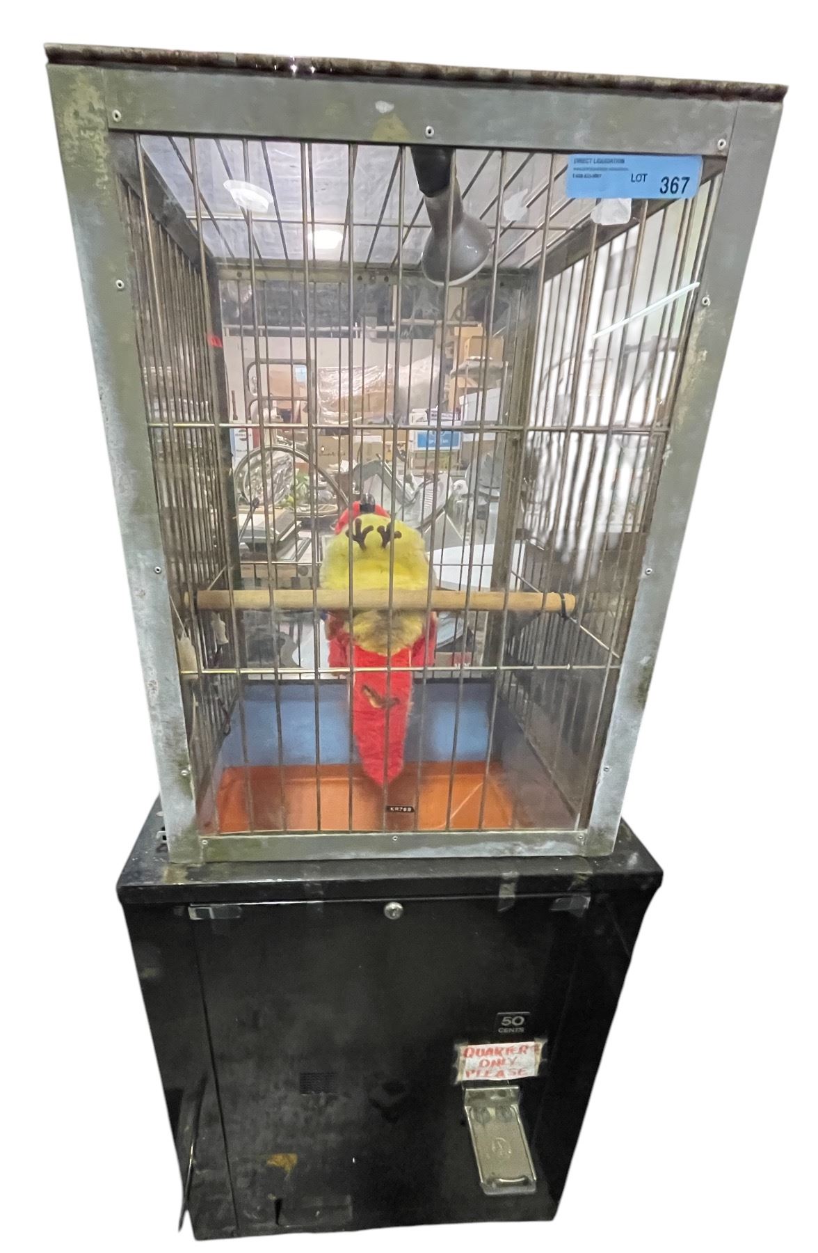 Parrot Coin Machine Movie Hut Corp - Talking Parrot Coin Operated Prize Arcade Game - model ...