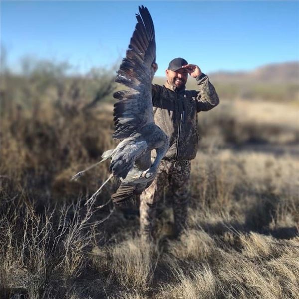 Arizona Sandhill Crane Hunt for up to 4 Hunters