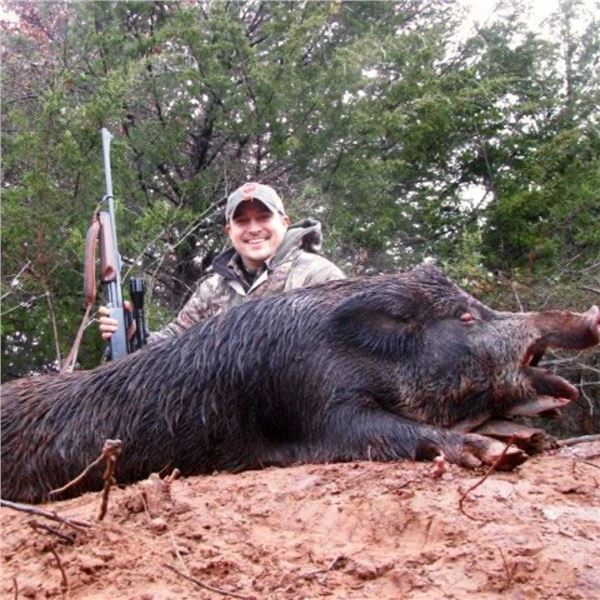 2-Day Oklahoma Hog Hunt