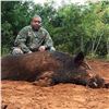 Image 3 : 2-Day Oklahoma Hog Hunt