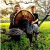 Image 3 : Florida Osceola Turkey Hunt