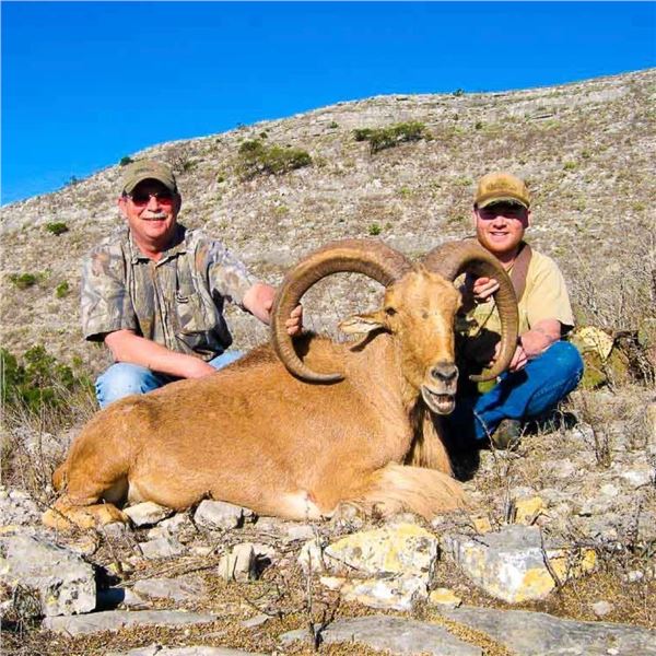 Ox Ranch All-Inclusive Aoudad Hunt Package for 1 Hunter and 1 Non-Hunter