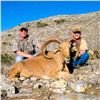 Image 1 : Ox Ranch All-Inclusive Aoudad Hunt Package for 1 Hunter and 1 Non-Hunter