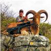 Image 2 : Ox Ranch All-Inclusive Aoudad Hunt Package for 1 Hunter and 1 Non-Hunter