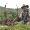 Image 4 : Epic Hunting Adventure for 2 Hunters for Mauritius Rusa Deer and an African Safari