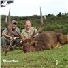 Image 5 : Epic Hunting Adventure for 2 Hunters for Mauritius Rusa Deer and an African Safari