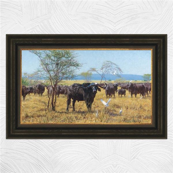 “Slightly Shady” Limited Edition Giclee Canvas by John Banovich