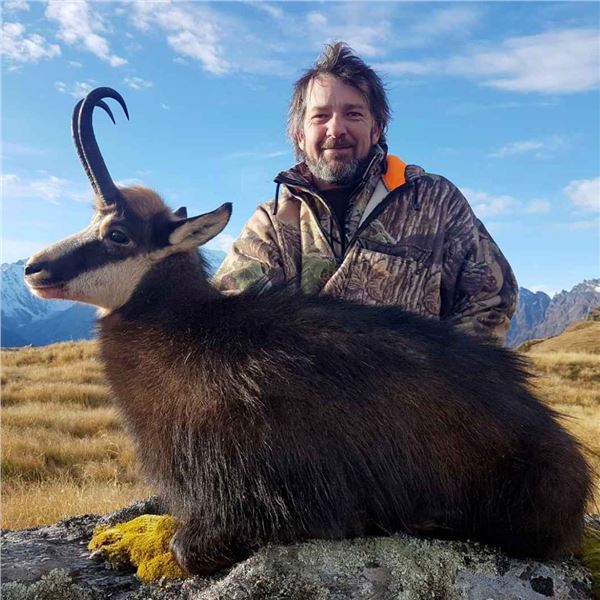 Alpine Chamois Hunt in New Zealand