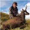 Image 2 : Alpine Chamois Hunt in New Zealand