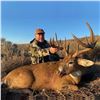 Image 3 : Whitetail Deer Hunt with Steve Hornady