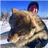 Image 1 : Wolf Hunt in Alberta for 2 Hunters