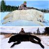 Image 3 : Wolf Hunt in Alberta for 2 Hunters