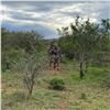 Image 8 : 10-Day South African East Cape Safari for 1 Hunter and 1 Observer with 5 Trophies