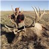 Image 3 : Nebraska Game & Parks Commission 2025 Bull Elk Permit