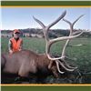 Image 6 : Nebraska Game & Parks Commission 2025 Bull Elk Permit