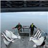 Image 8 : Alaska Fishing Trip for Four