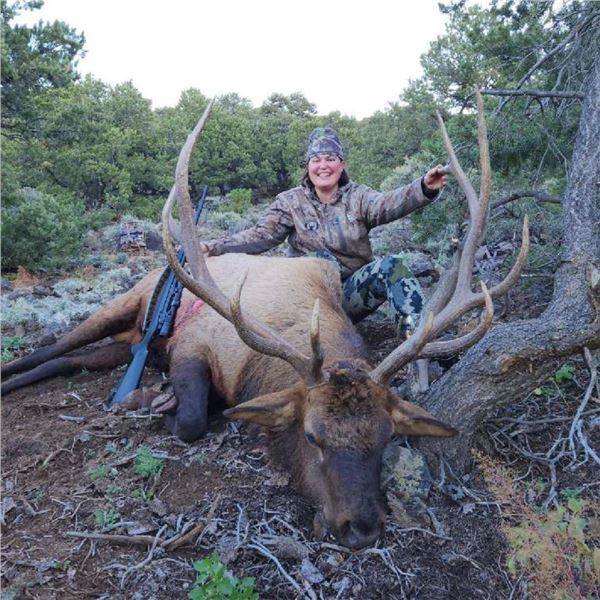 New Mexico Bull Elk Hunt