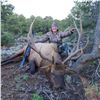 Image 1 : New Mexico Bull Elk Hunt