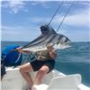Image 16 : Mexico Inclusive Deep Sea Fishing for One for Roosterfish, Sailfish, & Blue Marlin