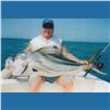 Image 6 : Mexico Inclusive Deep Sea Fishing for One for Roosterfish, Sailfish, & Blue Marlin