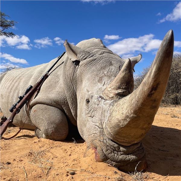 Rhino Hunt For 1 Hunter and 1 Observer