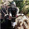 Image 4 : 5-Day Desert Mule Deer Hunt in Mexico